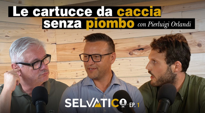 Online la prima puntata di Selvatico, il podcast di Caccia Magazine Online la prima puntata di Selvatico, il podcast di Caccia Magazine