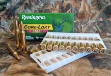 Remington Core-Lokt Copper 180 grani .300 Winchester magnum: il test Remington Core-Lokt Copper 180 grani .300 Winchester magnum il test