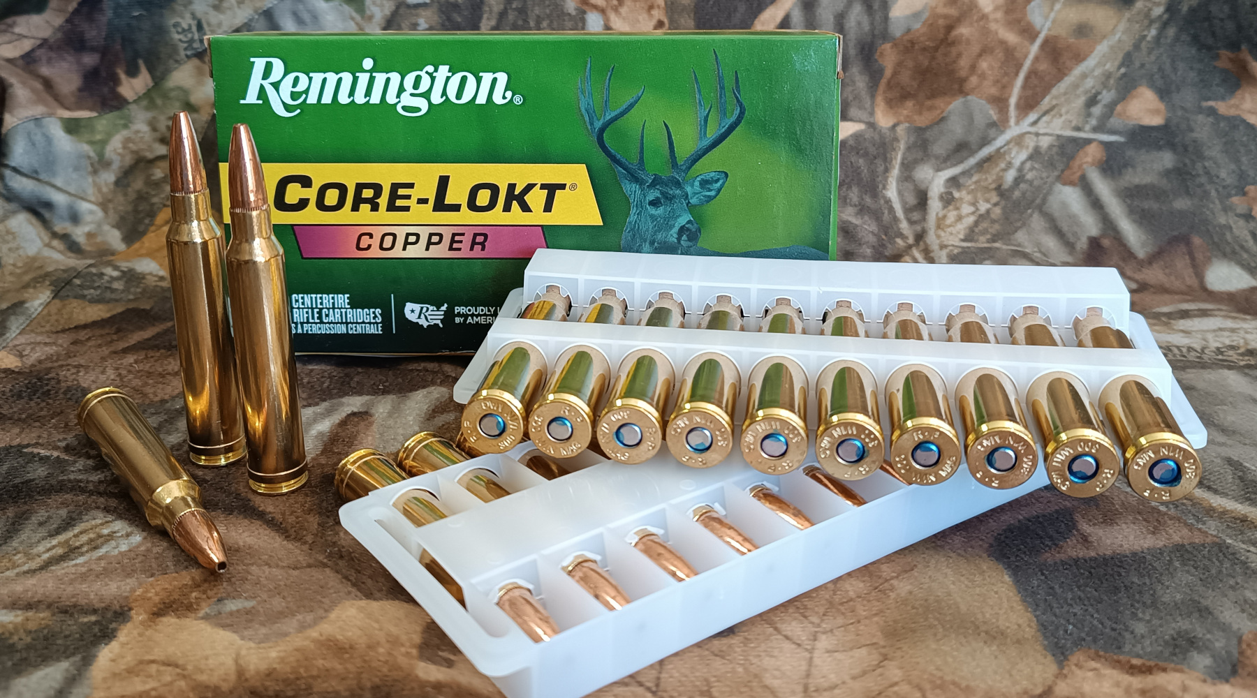 Remington Core-Lokt Copper 180 grani .300 Winchester magnum test Remington Core-Lokt Copper 180 grani .300 Winchester magnum test