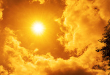 Wwf a Regioni: troppo caldo, no caccia a settembre Wwf a Regioni troppo caldo, no caccia a settembre - sole caldo in cielo