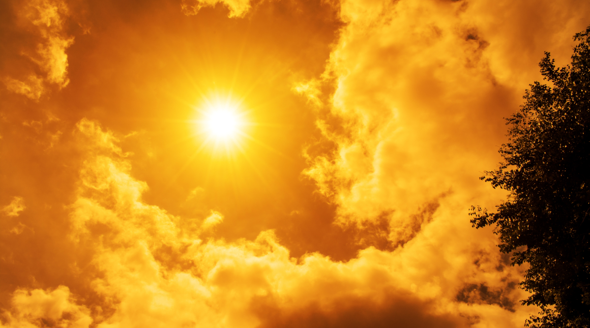 Wwf a Regioni troppo caldo, no caccia a settembre Wwf a Regioni troppo caldo, no caccia a settembre - sole caldo in cielo