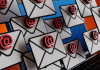 Caretta (Fratelli d’Italia): ogni giorno migliaia di e-mail contro il ddl caccia Caretta (Fratelli d’Italia) ogni giorno migliaia di e-mail contro il ddl caccia