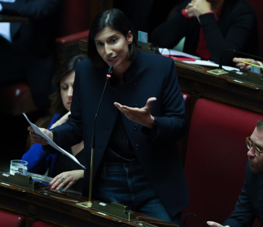 Ddl caccia, il Pd: fermare «lo scempio anticostituzionale» Ddl caccia, il Pd fermare «lo scempio anticostituzionale»: Elena Schlein, segretaria del Partito democratico