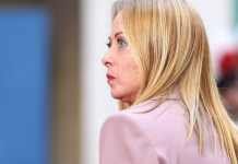 Lipu: il governo sospenda la preapertura della caccia Lipu il governo sospenda la preapertura della caccia - Giorgia Meloni