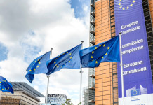 Lipu invia a Bruxelles la puntata di Presa diretta sul ddl caccia Lipu invia a Bruxelles puntata di Presa diretta sul ddl caccia - sede della Commissione europea