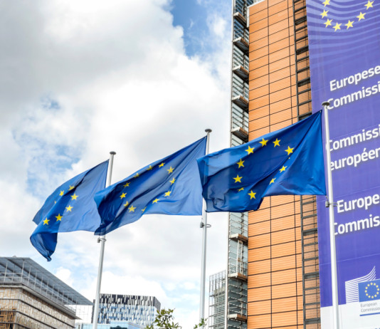 Lipu invia a Bruxelles la puntata di Presa diretta sul ddl caccia Lipu invia a Bruxelles puntata di Presa diretta sul ddl caccia - sede della Commissione europea