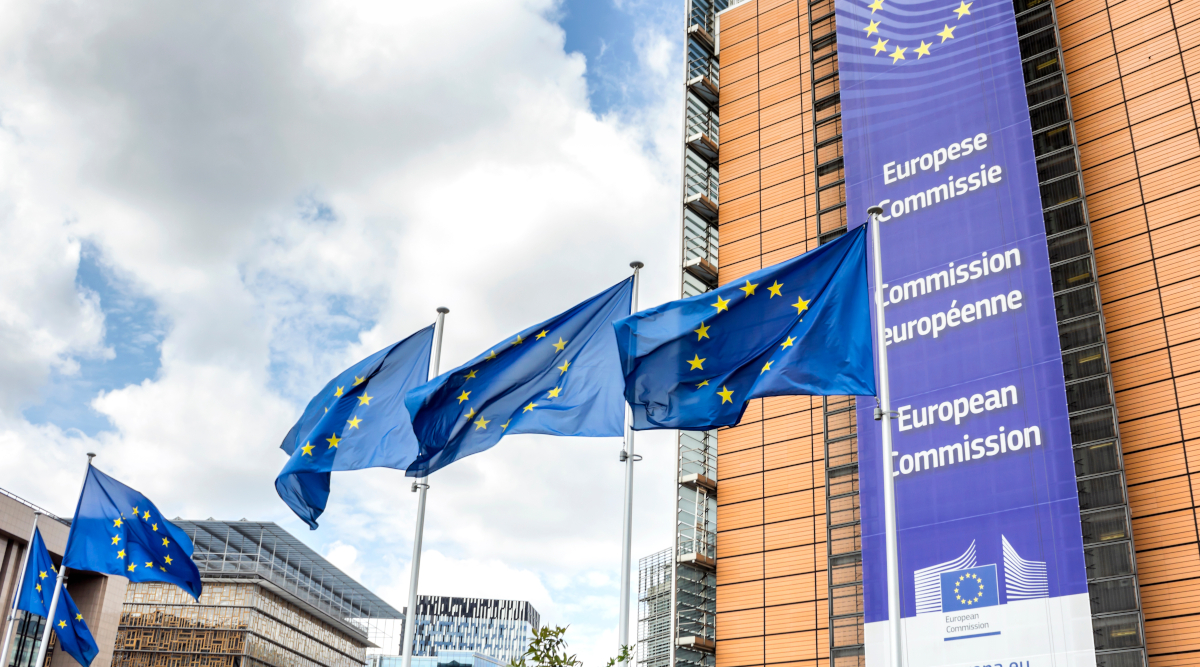 Lipu invia a Bruxelles puntata di Presa diretta sul ddl caccia Lipu invia a Bruxelles puntata di Presa diretta sul ddl caccia - sede della Commissione europea