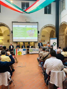 fondazione una