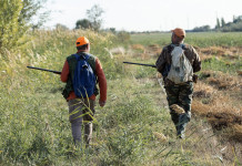 Maffei (Arcicaccia) contro il Pd sul codice identificativo per i cacciatori Maffei (Arcicaccia) contro il Pd sul codice identificativo per i cacciatori - due cacciatori di spalle