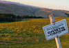 Tar Toscana respinge il ricorso della Lac sulle guardie venatorie volontarie Tar Toscana respinge il ricorso della Lac sulle guardie venatorie volontarie - divieto di caccia in provincia di Siena