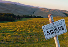 Tar Toscana respinge il ricorso della Lac sulle guardie venatorie volontarie Tar Toscana respinge il ricorso della Lac sulle guardie venatorie volontarie - divieto di caccia in provincia di Siena