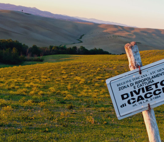 Tar Toscana respinge il ricorso della Lac sulle guardie venatorie volontarie Tar Toscana respinge il ricorso della Lac sulle guardie venatorie volontarie - divieto di caccia in provincia di Siena