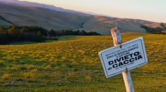 Tar Toscana respinge il ricorso della Lac sulle guardie venatorie volontarie Tar Toscana respinge il ricorso della Lac sulle guardie venatorie volontarie - divieto di caccia in provincia di Siena